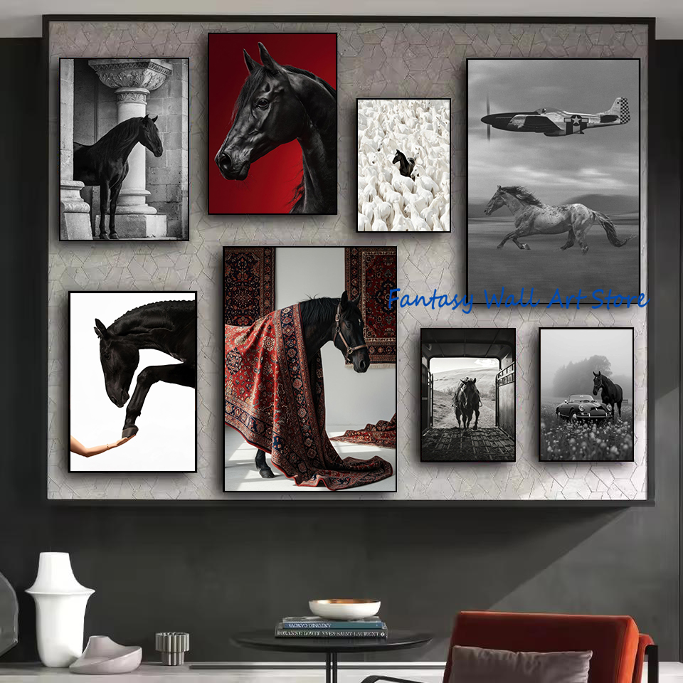 Luxury Lifestyle Picture - Zdjęcia Czarnych Koni Vintage Luksusowe Obrazy
