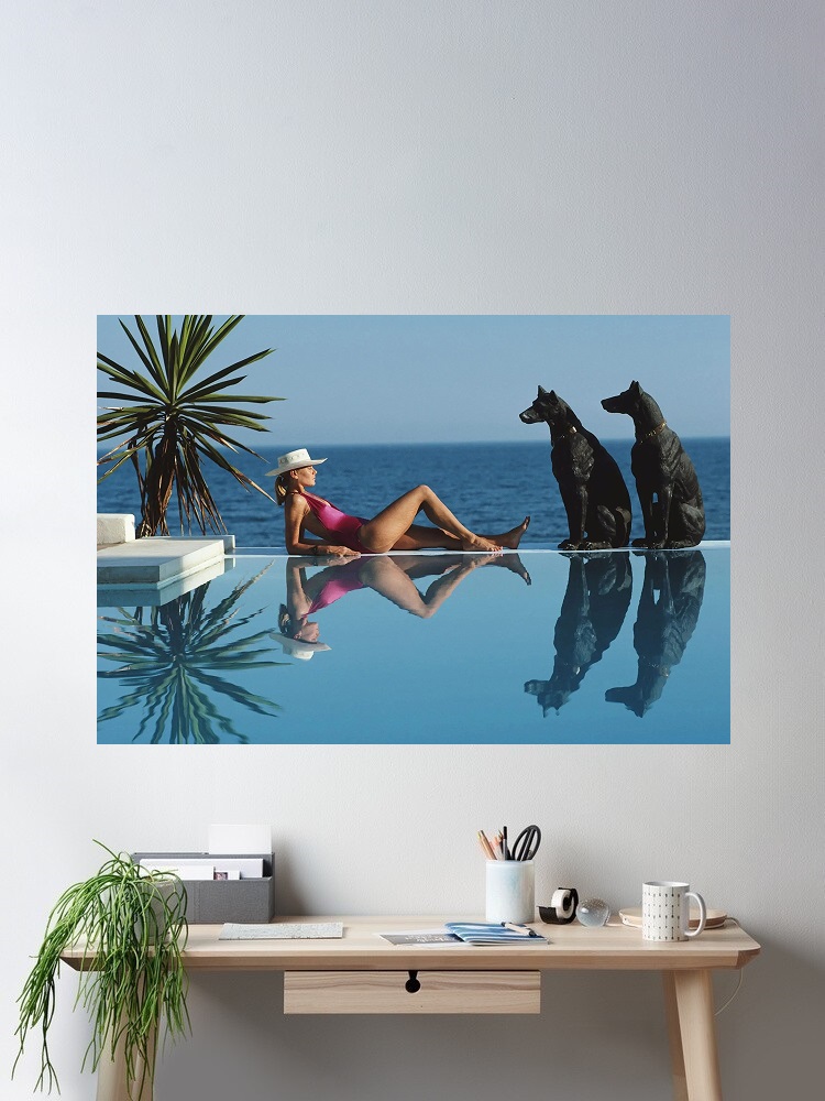 Retro Poolside Host Luxury Lif – Luxury Lifestyle Picture recenzja i cena