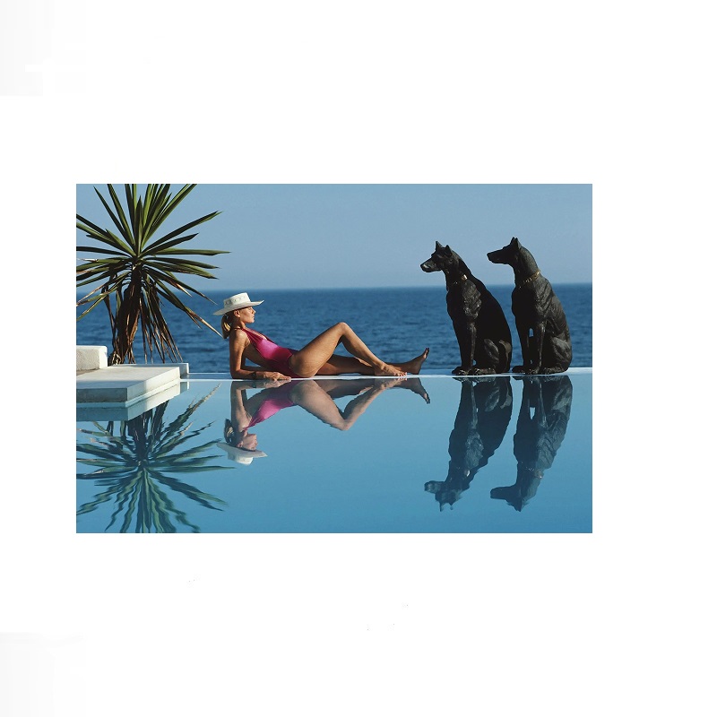 Retro Poolside Host Luxury Lif – Luxury Lifestyle Picture recenzja i cena